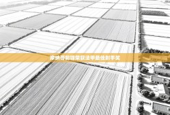 摩纳哥前锋荣获法甲最佳射手奖