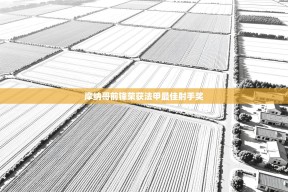 摩纳哥前锋荣获法甲最佳射手奖