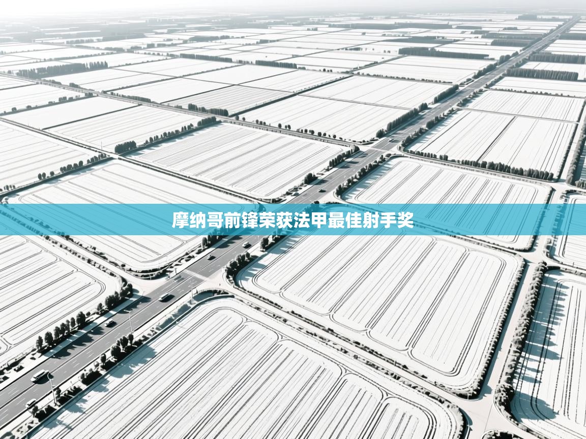 摩纳哥前锋荣获法甲最佳射手奖  第2张