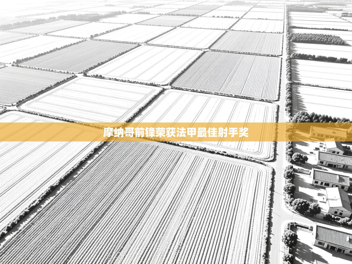 摩纳哥前锋荣获法甲最佳射手奖  第1张